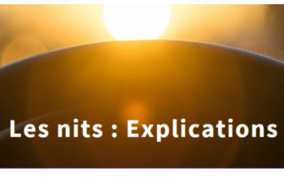 Rugged tablets : The Nits